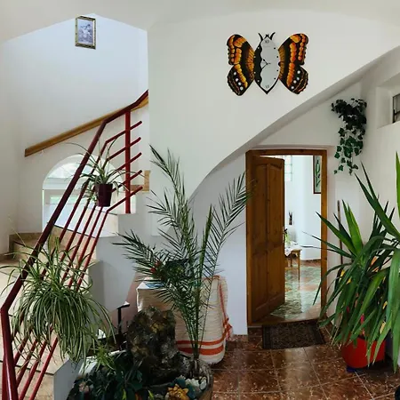 Joker Apartmanhaus *